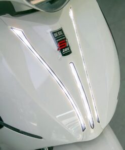Cụm đèn định vị E-mark Dat Bike - 231000182